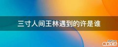 三寸人间王林遇到的许是谁