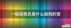 一级巡视员是什么级别的官