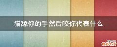 猫舔你的手然后咬你代表什么