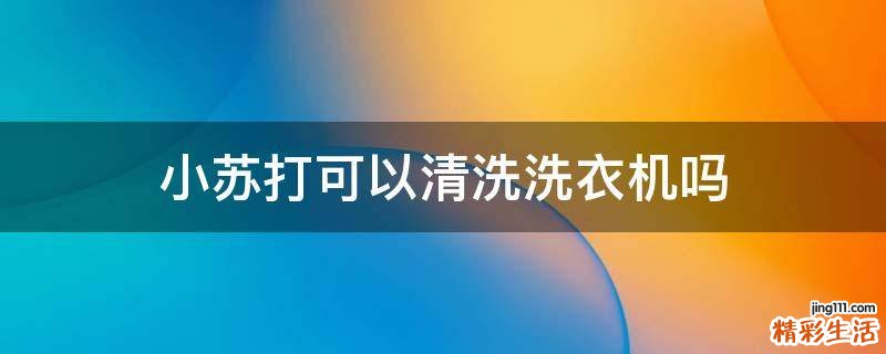 小苏打可以清洗洗衣机吗