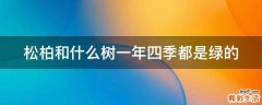 松柏和什么树一年四季都是绿的