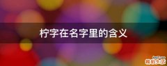 柠字在名字里的含义