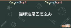 猫咪油尾巴怎么办