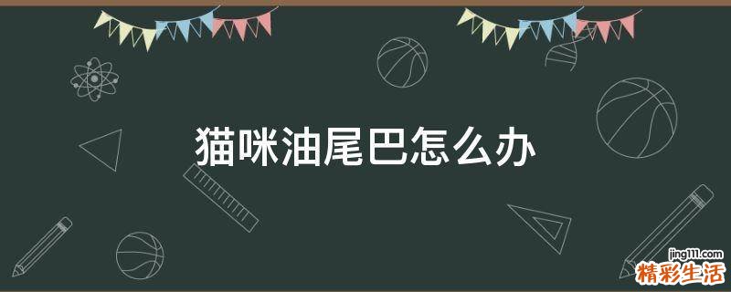 猫咪油尾巴怎么办