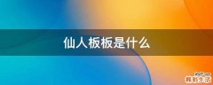 仙人板板是什么