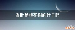 香叶是桂花树的叶子吗