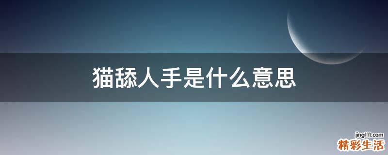 猫舔人手是什么意思