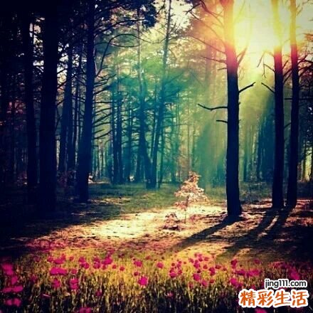 痘痘可以挤吗_手痒挤痘误大事