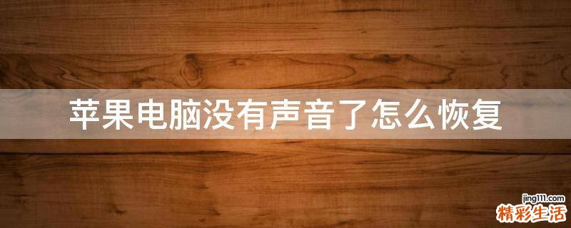苹果电脑没有声音了怎么恢复