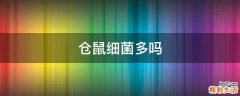 仓鼠细菌多吗