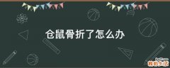 仓鼠骨折了怎么办