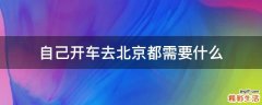 自己开车去北京都需要什么