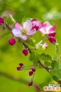 【分年龄护肤方法】分年龄护肤 解决美白问题