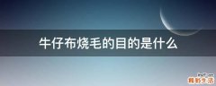 牛仔布烧毛的目的是什么