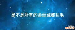 是不是所有的金丝绒都粘毛