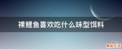 裸鲤鱼喜欢吃什么味型饵料