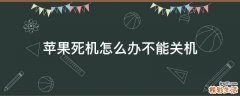 苹果死机怎么办不能关机