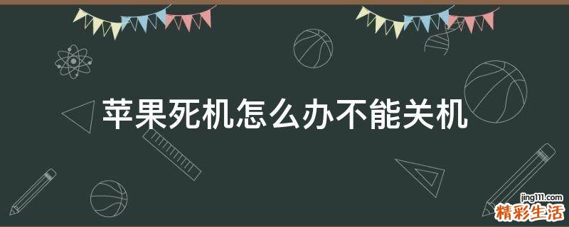 苹果死机怎么办不能关机