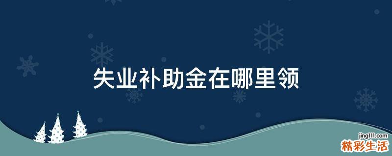 失业补助金在哪里领