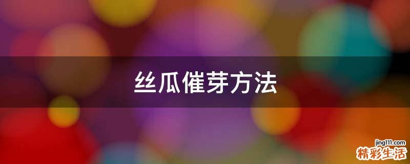 丝瓜催芽方法