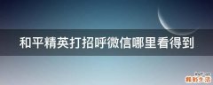 和平精英打招呼微信哪里看得到