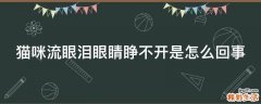 猫咪流眼泪眼睛睁不开是怎么回事