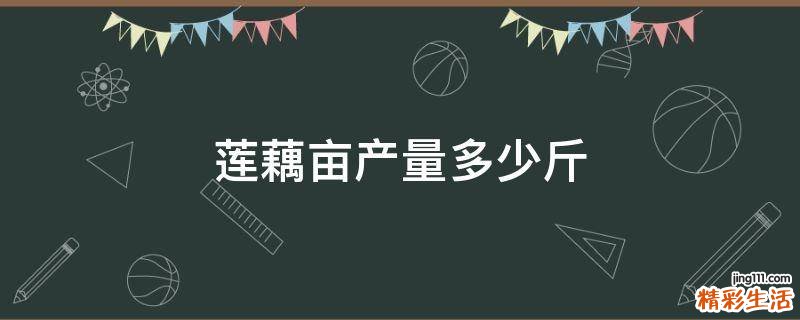 莲藕亩产量多少斤