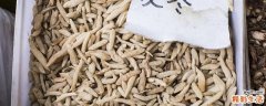 麦冬治疗失眠有效果吗 麦冬和什么一起治失眠