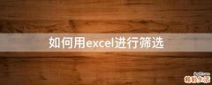 如何用excel进行筛选