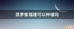 菠萝蜜福建可以种植吗