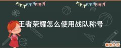 王者荣耀怎么使用战队称号