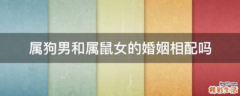 属狗男和属鼠女的婚姻相配吗
