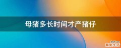 母猪多长时间才产猪仔