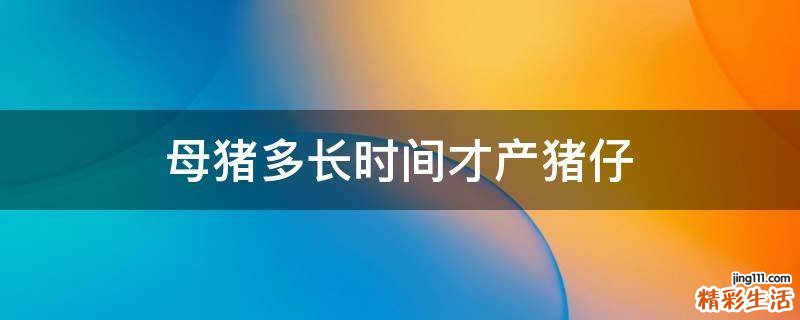 母猪多长时间才产猪仔