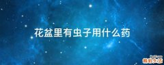 花盆里有虫子用什么药