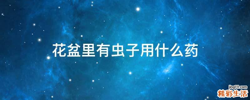 花盆里有虫子用什么药