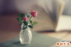 蜂蜜真的有祛斑功效吗_蜂蜜敷脸能否祛斑