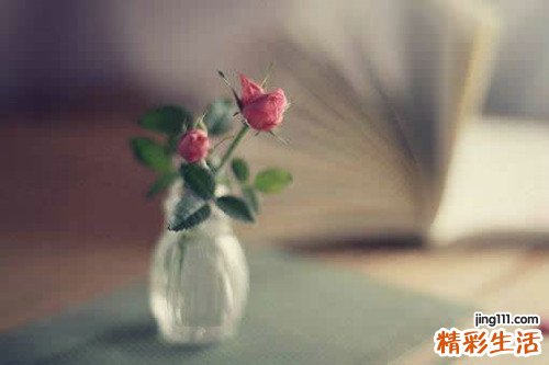 蜂蜜真的有祛斑功效吗_蜂蜜敷脸能否祛斑