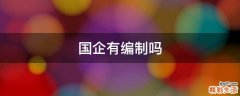 国企有编制吗