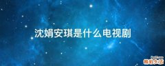 沈娟安琪是什么电视剧