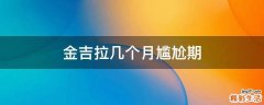 金吉拉几个月尴尬期