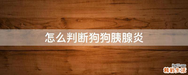 怎么判断狗狗胰腺炎