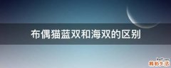 布偶猫蓝双和海双的区别