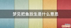 梦见把鱼放生是什么意思