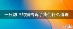 一只想飞的猫告诉了我们什么道理
