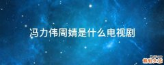 冯力伟周婧是什么电视剧