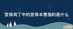 宫保鸡丁中的宫保本意指的是什么