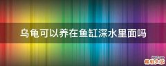 乌龟可以养在鱼缸深水里面吗