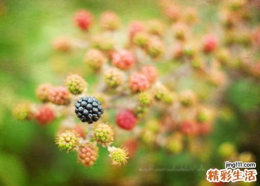 眼前冒金花是怎么回事？