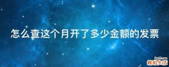 怎么查这个月开了多少金额的发票